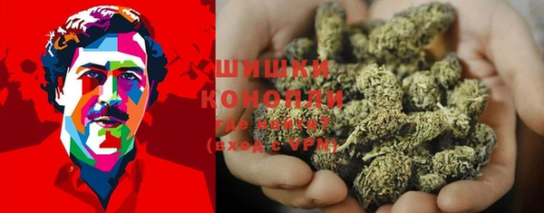 прущие грибы Армянск