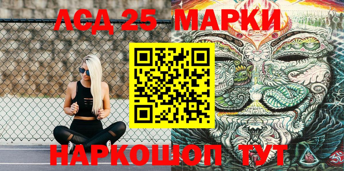 где можно купить   Вход с VPN  Новодвинск  Марки N-bome 1,5мг 